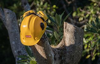 casco giallo di sicurezza appeso a un albero