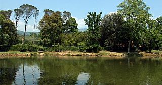 Specchio d'acqua e alberi nel parco del Villone Puccini