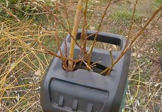 biotrituratore
