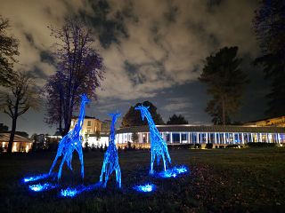 Il Meyer si illumina di blu nella Giornata mondiale del Diabete