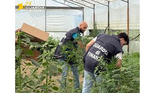 L'operazione della guardia di finanza