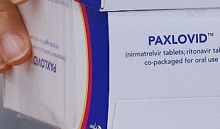 Una confezione di Paxlovid - foto Rai.it