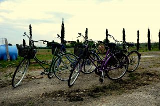 Le cinque bici che verranno donate per Bicincittà (Foto Mirko Melai)