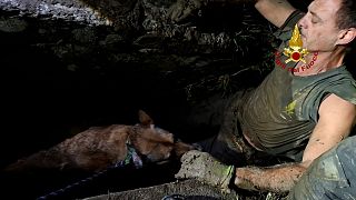 L'intervento di soccorso