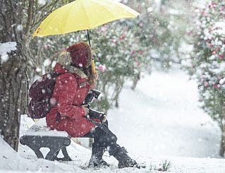 persona con l'ombrello sotto la neve