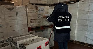Il sequestro della guardia costiera