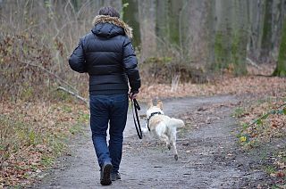 cane e persona passeggiano