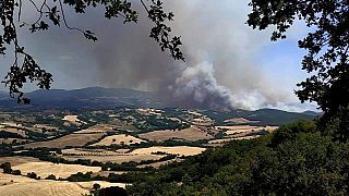 L'incendio del Luglio 2022 a Cinigiano