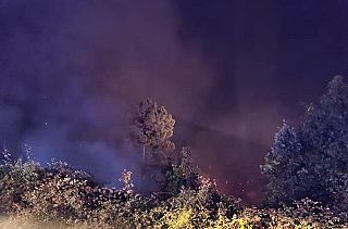 incendio di bosco nella notte