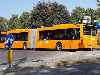 bus a lucca