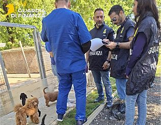 L'intervento della guardia di finanza