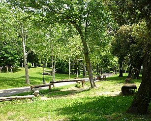 Nel parco di Villa Strozzi