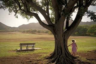 bambina e albero