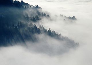 nebbia sulla montagna