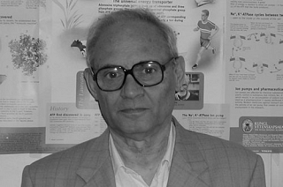 Il professor Renzo Rossi