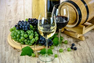 uva e vino