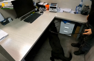 Le ricerche dell'unità cinofila