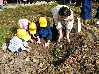 bambini piantano un albero