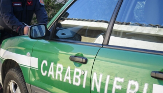 carabinieri forestali
