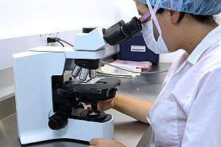 scienziata al microscopio