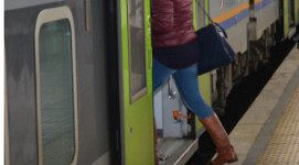 donna sale in treno