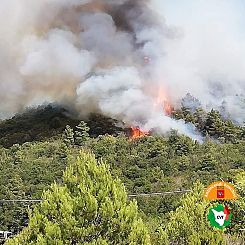 L'incendio sull'isola d'Elba