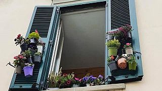 finestra con vasi di fiori