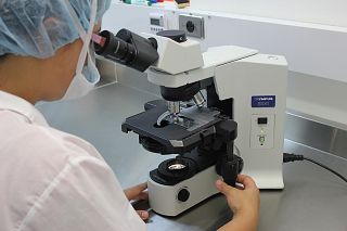 laboratorio microscopio