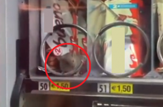 Il topo all'interno del distributore delle merendine