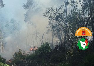 L'incendio sulle colline di Gavorrano