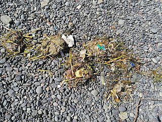 rifiuti tritati sulla spiaggia