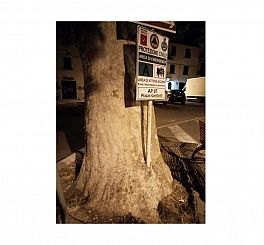 Il cartello conficcato nell'albero