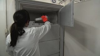 Vaccini conservati in frigo