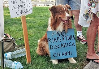 Cane con al collo un cartello con la scritta "No riapertura discarica Chianni"