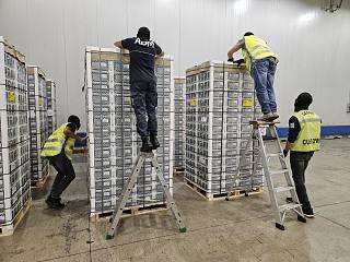 L'operazione di guardia di finanza e personale Adm