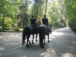 Polizia a cavallo