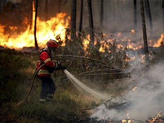 vigile del fuoco spegne incendio di bosco