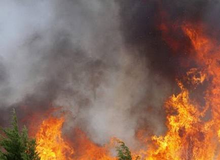 Sabato di fuoco, le fiamme divorano i boschi - Vimarsana News