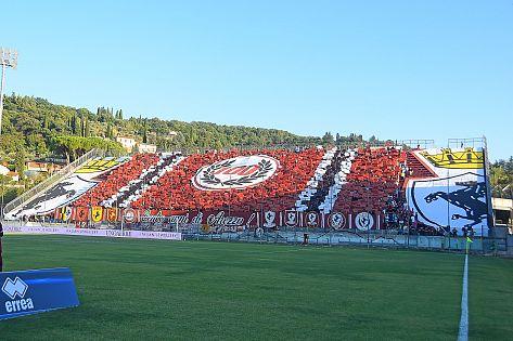 L Arezzo ci prova ma la Carrarese fa bottino pieno Sport AREZZO