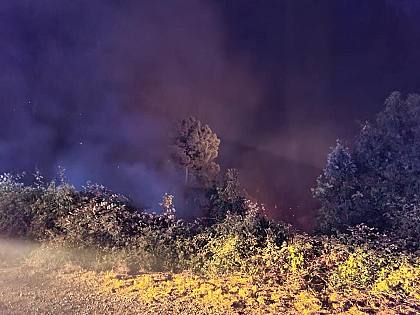 Incendio Monte, si è lavorato tutta la notte - Vimarsana News
