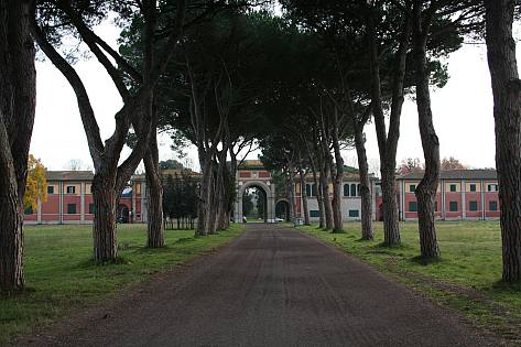 Parco San Rossore, i dubbi del M5s - Vimarsana News