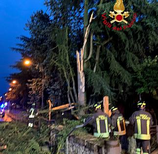 La tempesta abbatte i rami nel cortile della scuola - Vimarsana News