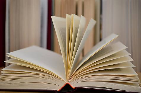 Quattro giorni di libri, libri, libri, libri - Vimarsana News