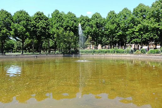 Una palude di rifiuti in mezzo al Parco Giotto STOP DEGRADO AREZZO