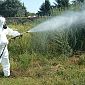 Nuovo caso di West Nile, donna ricoverata