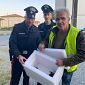 Mamma anatra e gli anatroccoli salvati nel traffico
