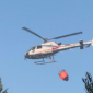 Fiamme dalle sterpaglie al bosco