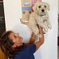 Manetta, da randagio a mascotte del commissariato