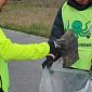 Il Polpo Verde arriva alla stazione