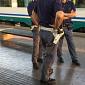 Investimento sui binari, ritardi e treni cancellati